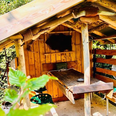 La Cabane Perchee Du Trappeur Écrainville Extérieur photo