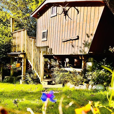 La Cabane Perchee Du Trappeur Écrainville Extérieur photo