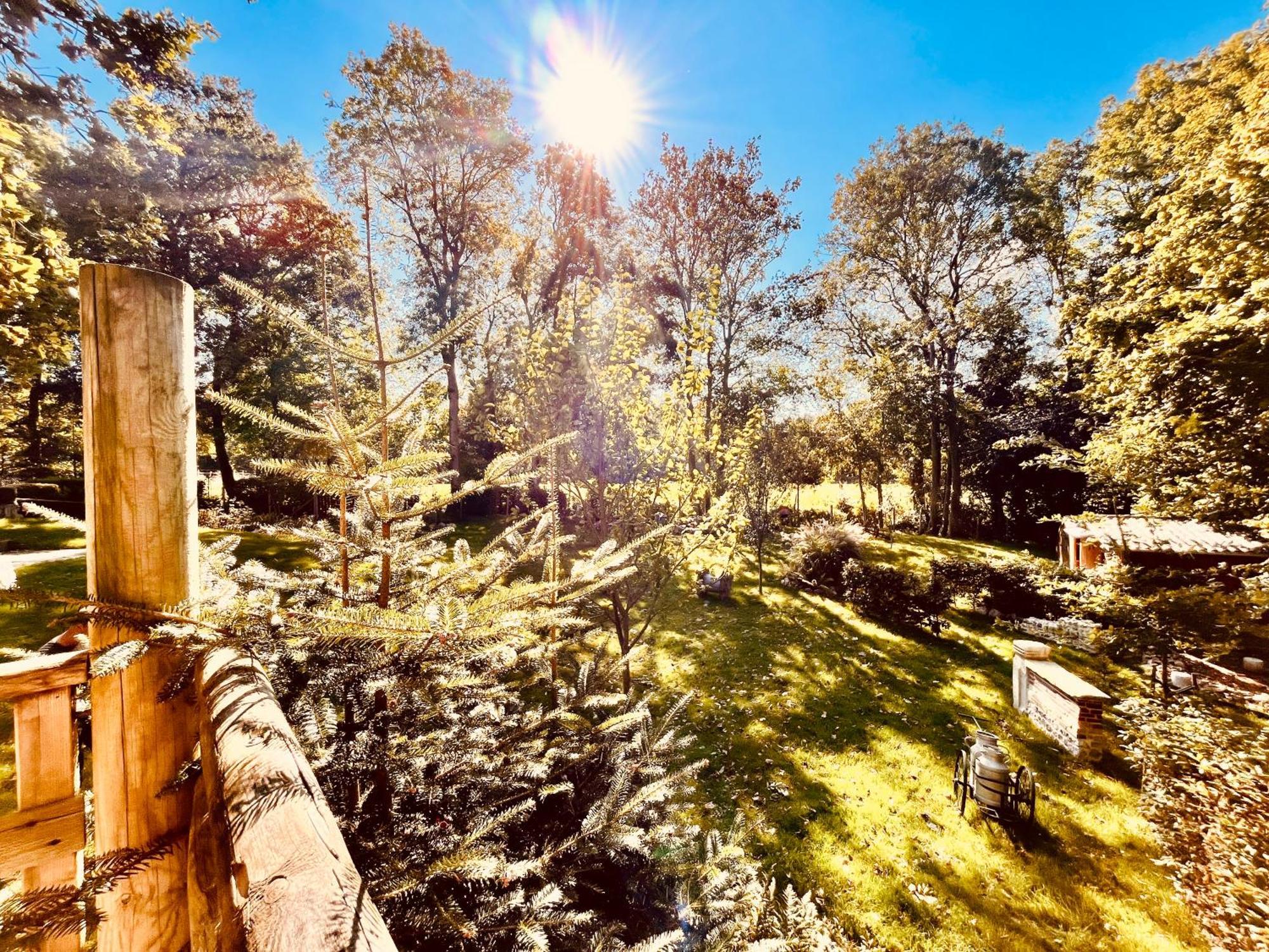 La Cabane Perchee Du Trappeur Écrainville Extérieur photo